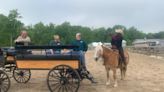 Kenny couldn’t be happier surrounded by horses at Lake Metroparks Horsefest