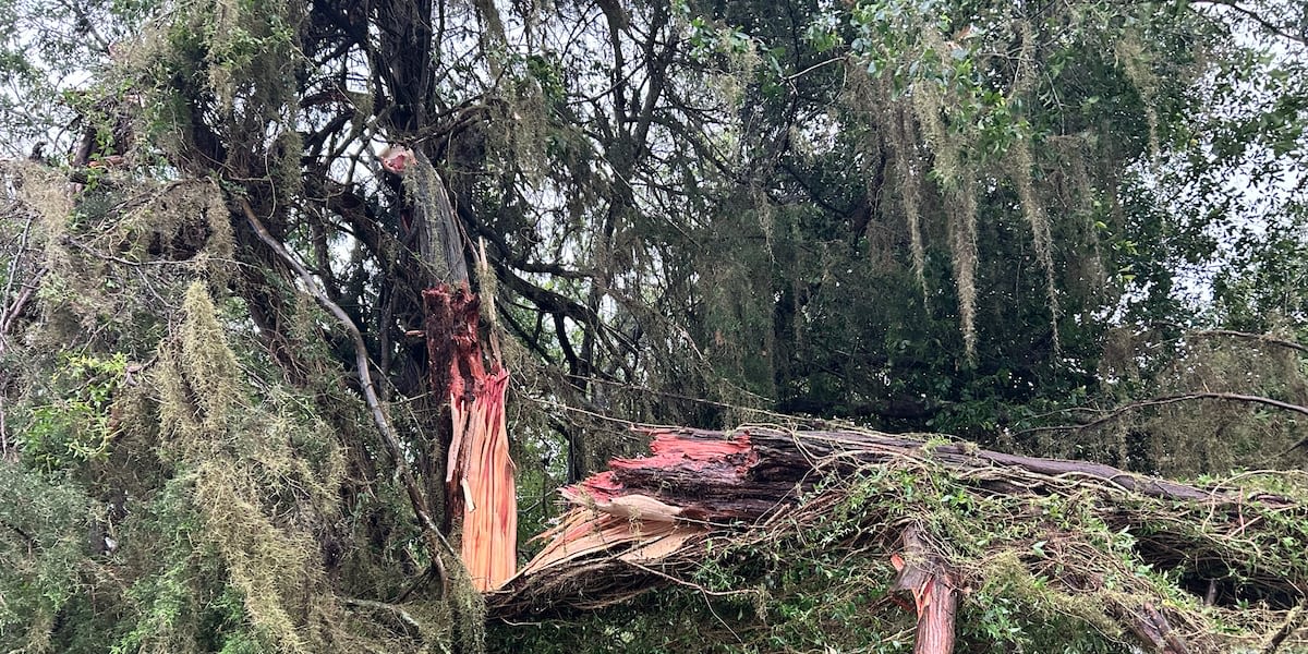 Early reports indicate up to 3 tornadoes twisted Friday in Gadsden County, per Leon County