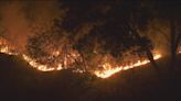 Point Fire in Sonoma County grows to 1,190 acres