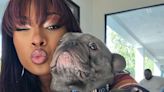 These Celebrity Pets Have Their Own Instagram Accounts — And Some Have Over 500K Followers