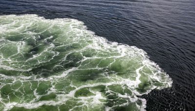 Vermisster Schwimmer in Ostsee: Toter an Strand in Mecklenburg-Vorpommern gefunden