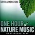 One Hour of Nature Music: For Massage, Yoga and Relaxation