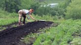 KC urban farm aims to save the planet. Neighbors call it a nuisance, city cracks down