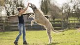 Biggest Dog Breeds in the World