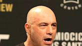 Joe Rogan slams the Catholic Vatican as 'a country filled with pedophiles and stolen art'