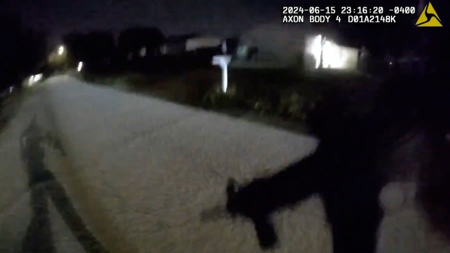 Body cam video shows shootout that left family of 3 dead, deputy hospitalized in Tampa