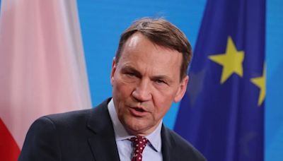 Sikorski: Putin not reckless enough to attack NATO country