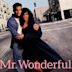 Mister Wonderful