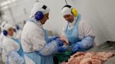 Brasil detecta primeiro caso de doença de Newcastle em ave desde 2006 Por Reuters
