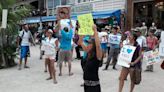 Animalistas protestarán contra el delfinario del Hotel Barceló en la Riviera Maya