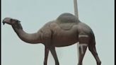 Saudi man jailed for defacing iconic camel statue with spray paint