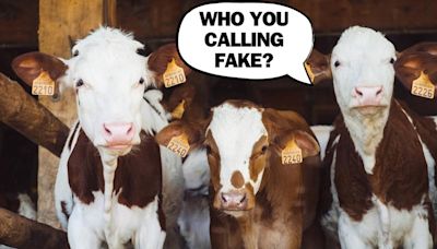 The Wild Reason They Have to Use Fake Cows at State Fairs This Year