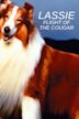 Lassie: Flight of the Cougar