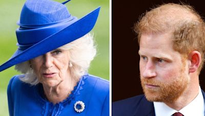 Harry's swipes at Camilla 'unforgivable' for King with Duke now 'on his own'