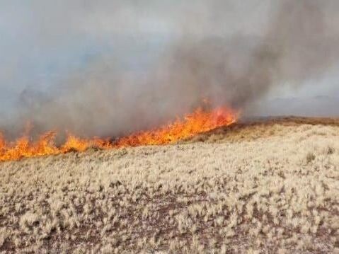 Unas 3500 hectáreas arrasadas: alerta por el avance del fuego en el cerro Champaquí en Córdoba
