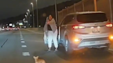 Video shows runaway Chihuahua causing chaos as it races down freeway in New York