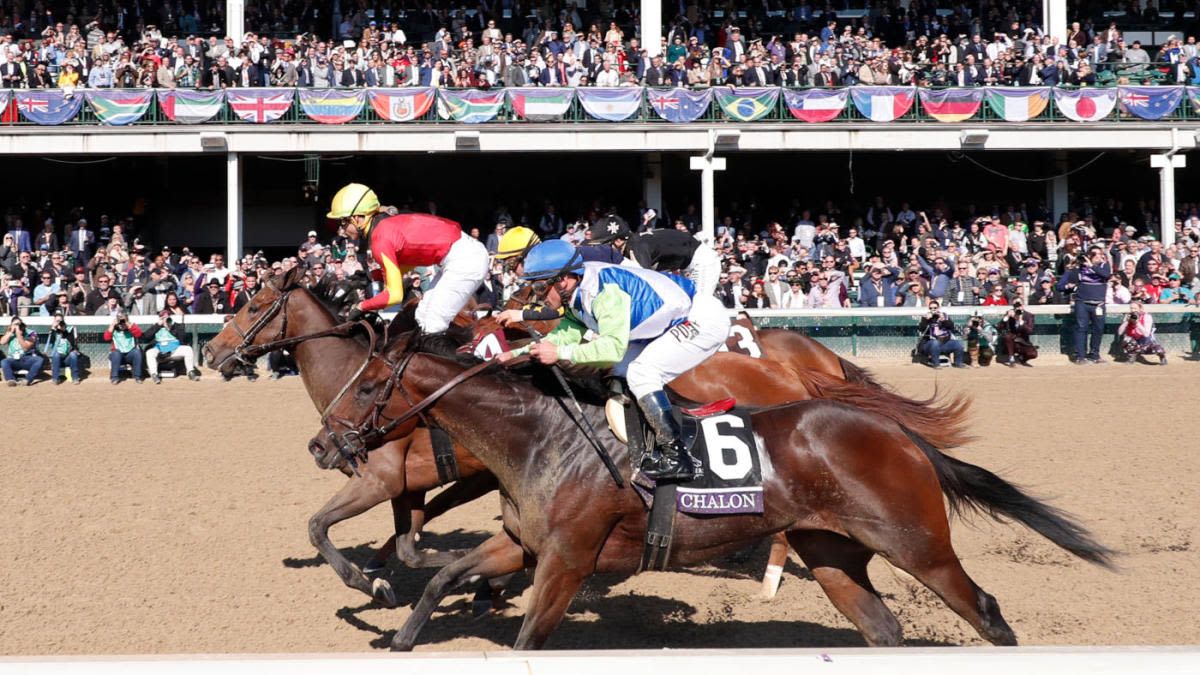 Preakness Stakes 2024 predictions, odds: Win, place, show, trifecta, superfecta expert picks