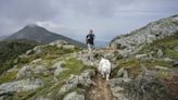 Dog Treats Stuffed With Fishhooks Found on Hiking Trail