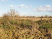 Hounslow Heath