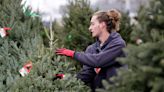 As Christmas approaches, you can still find a cut-your-own, pre-cut or artificial Christmas tree throughout Wisconsin