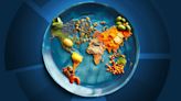 Los 10 países con mayor riesgo de intoxicación alimentaria, según una plataforma de salud