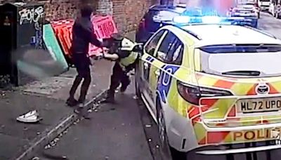 Horror moment police officer is stabbed in neck by passer-by in random attack