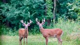 MeatEater, National Deer Association coming to MS for public land habitat improvement