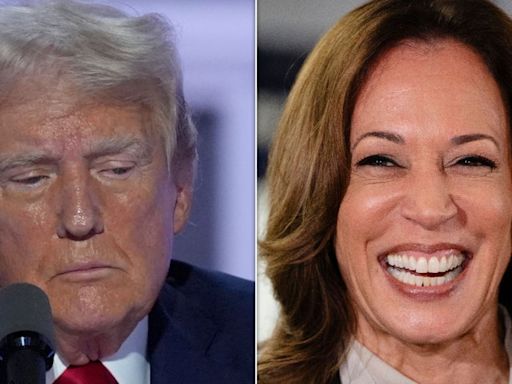 Trump Pollster Warns Campaign A 'Harris Honeymoon' Is Coming