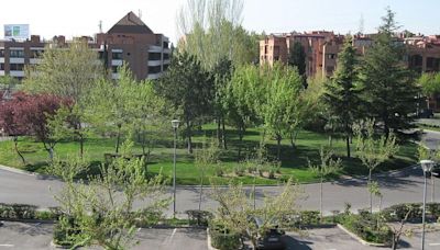 Más zonas verdes, acceso a instalaciones deportivas, control del ruido... Así pueden los ayuntamientos mejorar nuestra salud