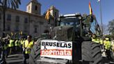 Reconciliación con la UE y sombras en el campo y el coche