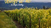 Community calendar: Things to do in Napa Valley
