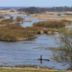 Biebrza National Park