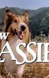 The New Lassie