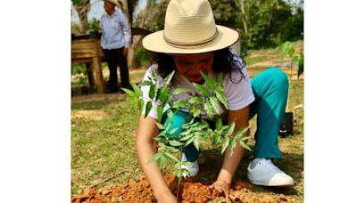 Laura Estrada, candidata al Senado, llama a pintar Oaxaca de verde