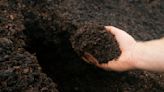 These easy soil tests will help you make the most of your garden