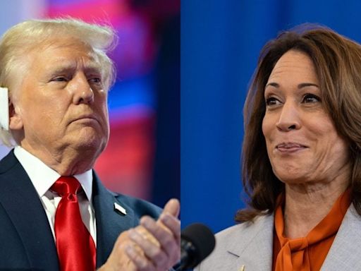 Donald Trump, Kamala Harris Neck-And-Neck In Battleground State Of Michigan: US Poll - News18