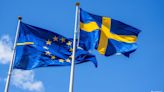 Digital Euro Use Won't Push Out Swedish Krona: Central Bank