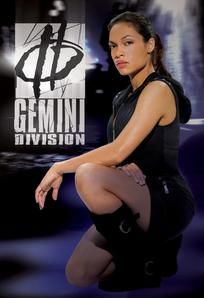 Gemini Division