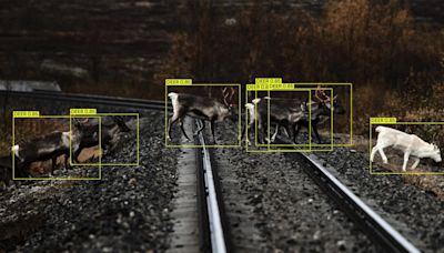 Alstom and Flox trialling AI wildlife detection system in Sweden