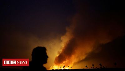 Incêndios batem recorde no Pantanal: dava para prever seca que alastra fogo pela região?