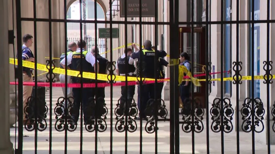 Woman stabbed while walking dog outside Chicago’s Union Station