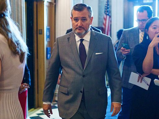 GOP senators amused as Ted Cruz seeks to move bill: ‘The foot’s on the other hand’