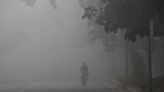 Corte Suprema de la India prohíbe quema de cultivos y hace cumplir prohibición de petardos mientras contaminación del aire empeora en Nueva Delhi