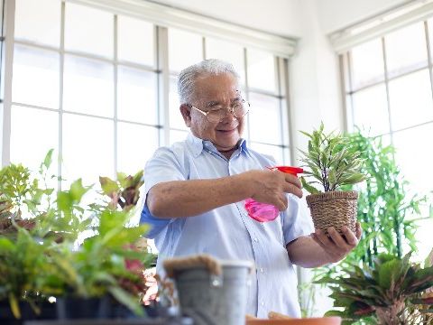 勞退新制月領有年限，非活到老領到老！幾歲領、怎麼領最划算？