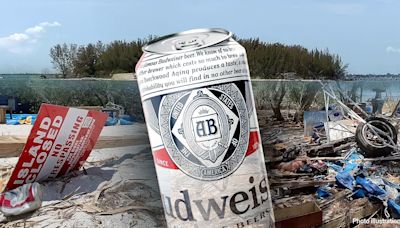 'Beer Can Island' plundered by party pirates, owners vow to rebuild before sale