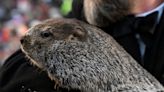 Punxsutawney Phil predicts an early spring. Here's what Texans need to know