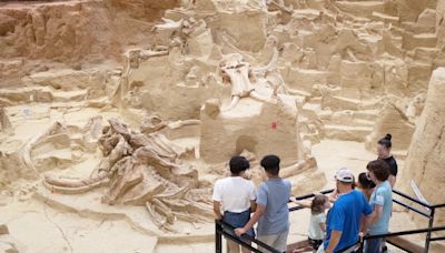 A sinkhole in South Dakota is packed with mammoth fossils that experts have been digging up for half a century. Take a look.