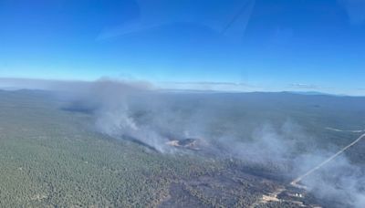 Darlene 3 Fire in Deschutes County was 'human caused', officials say