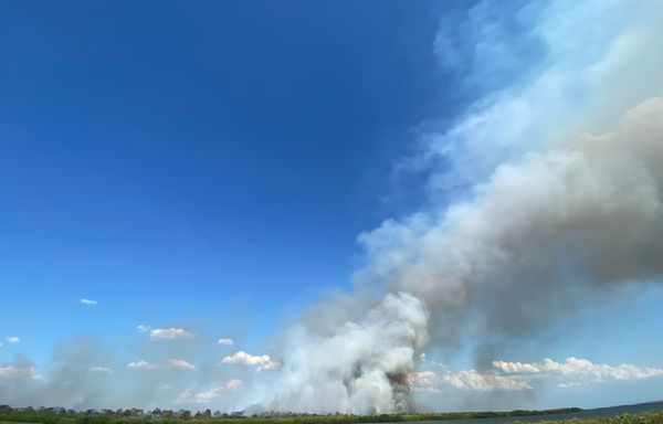 Upper Tampa Bay Park closed after controlled burn turns into brush fire