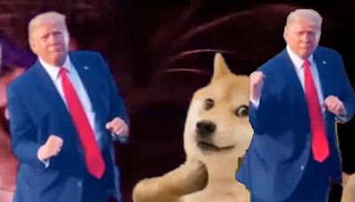 Ni Donald Trump, ni Kamala Harris: los perros y los gatos ganaron el debate